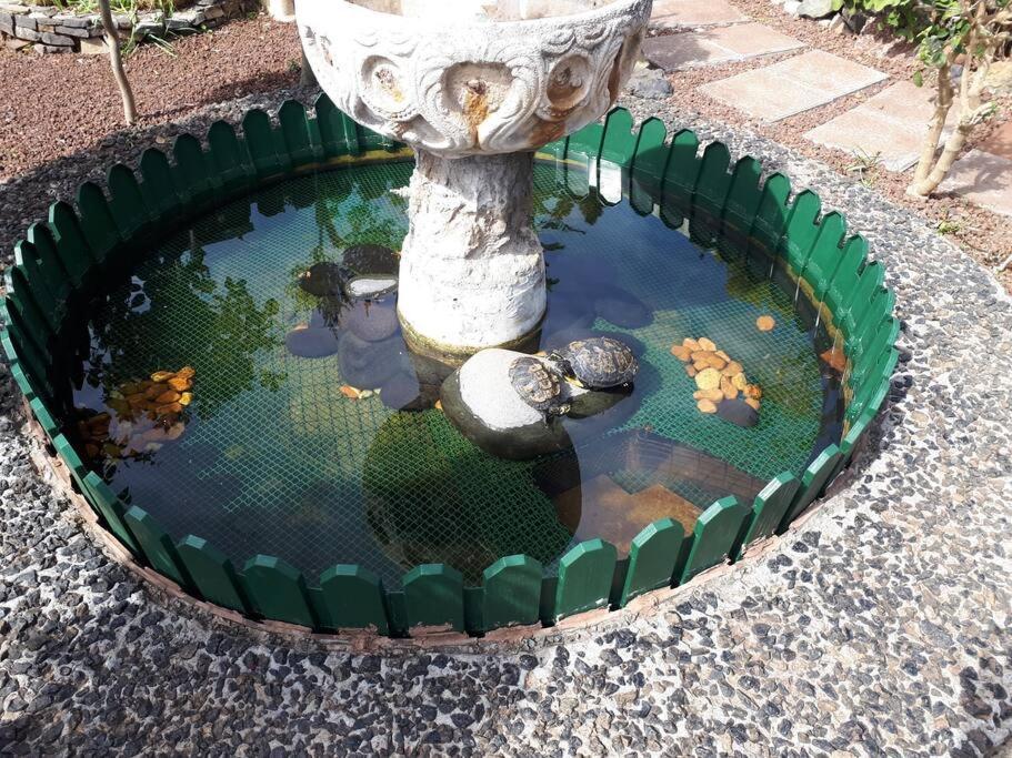 Apartment Tranquilo En Casa Con Jardin La Laguna (Tenerife)