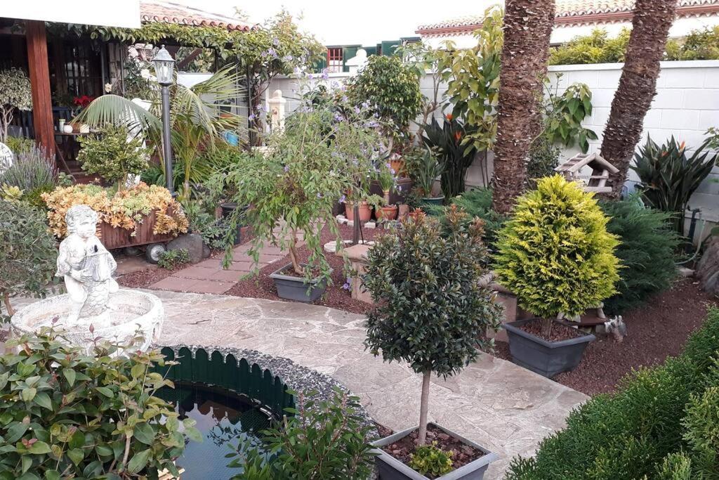 Tranquilo En Casa Con Jardin Apartment La Laguna (Tenerife)