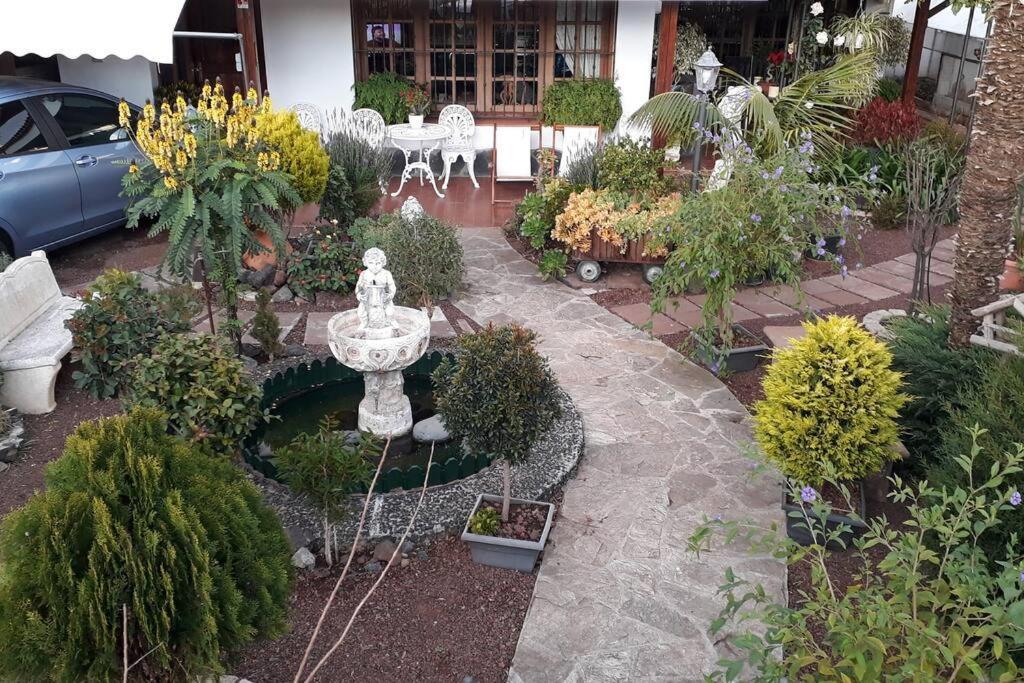Tranquilo En Casa Con Jardin Apartment
