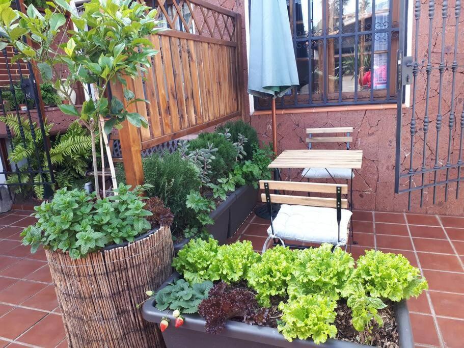 Apartment Tranquilo En Casa Con Jardin La Laguna (Tenerife)
