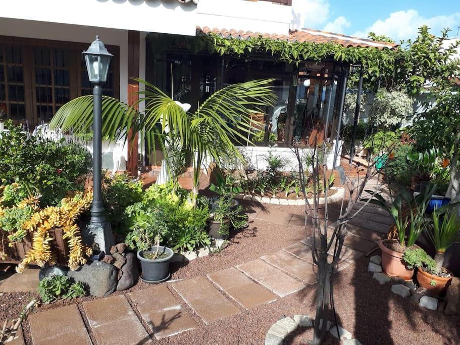 Tranquilo En Casa Con Jardin Apartment *